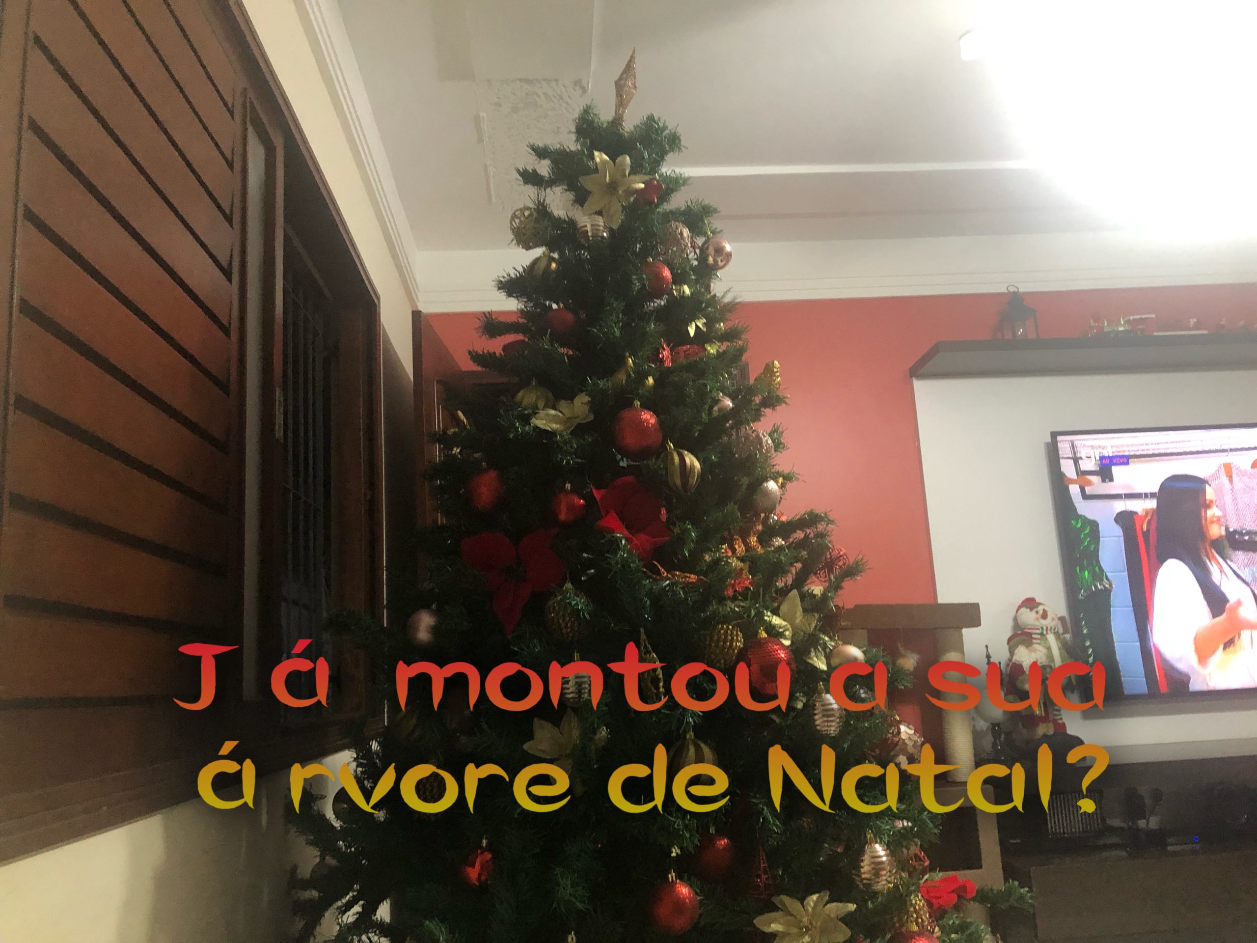 Não fui à abertura da árvore de Ponta Negra, mas fiz a minha árvore de Natal  – Brechando
