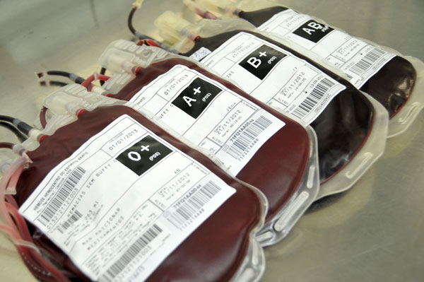 Unidade de doação de sangue está no IMD, saiba mais