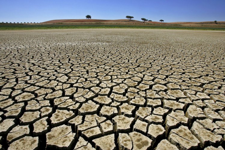 El Niño agravará a seca em todo o Nordeste