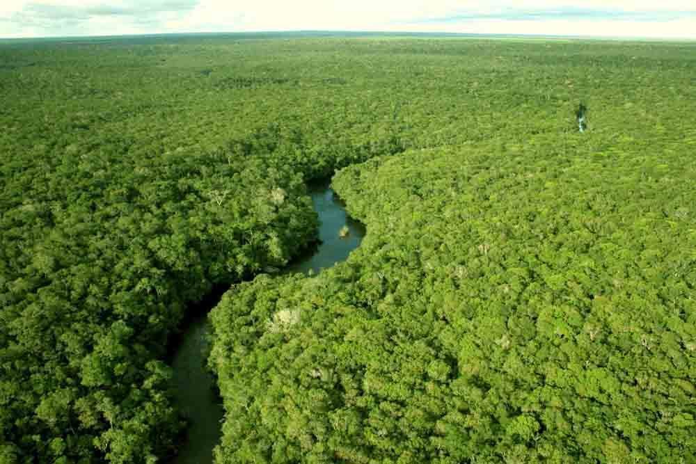 10 motivos para preservar a Floresta Amazônica