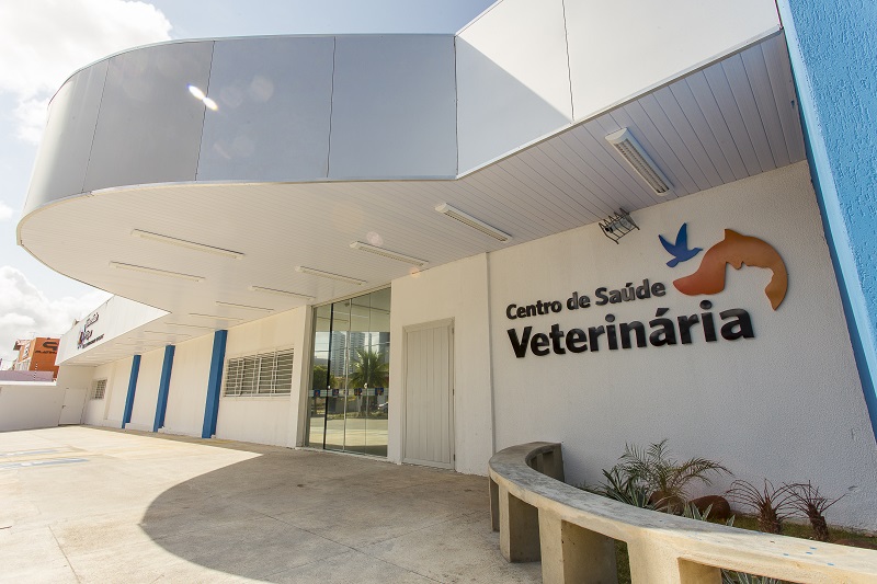 Sabia que existe uma clínica veterinária feita por estudante universitários?