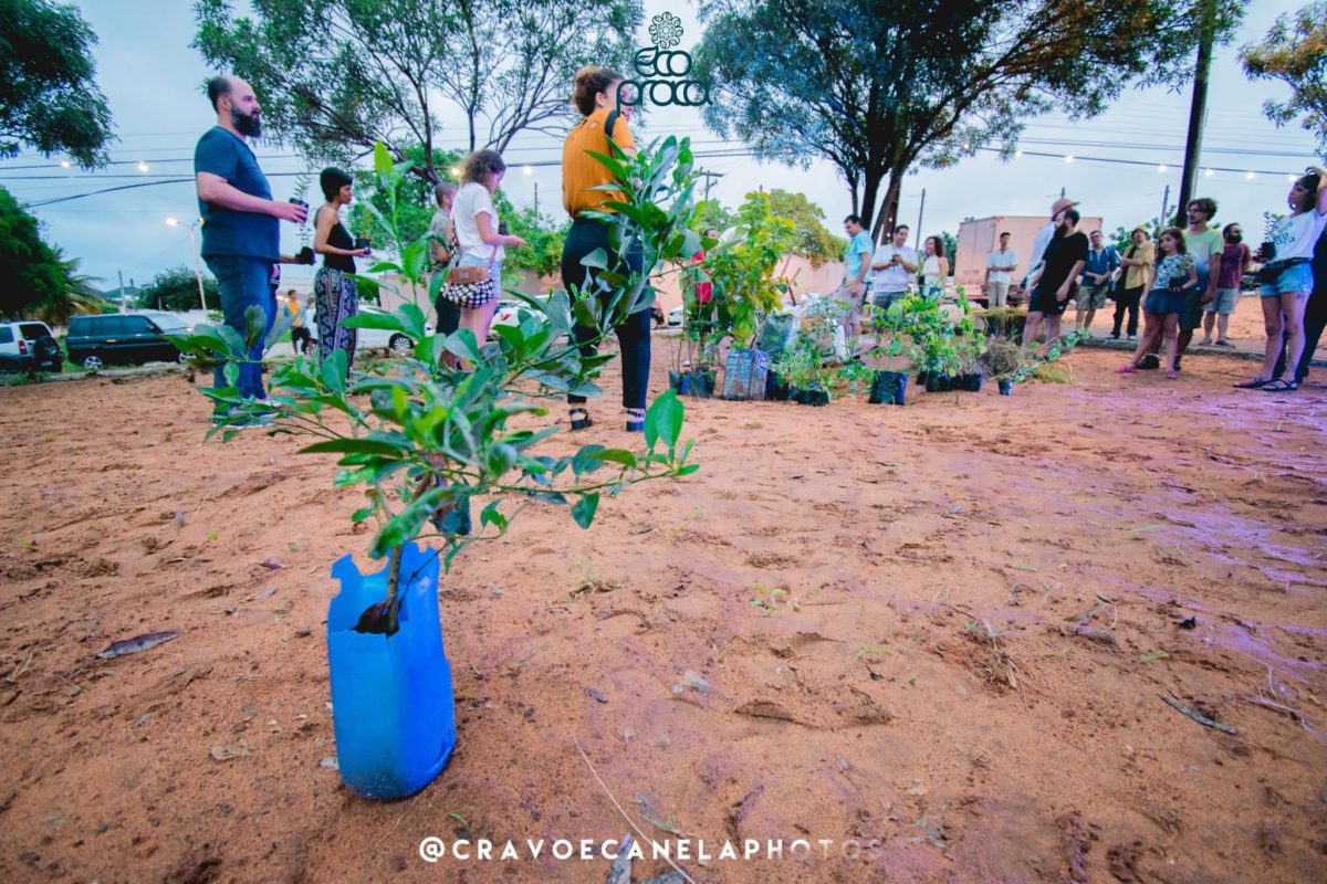 Eco Praça continua seu projeto de sustentabilidade na Praia de Pipa