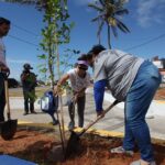 arborização de Natal