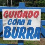 Cuidado com a Burra