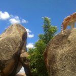 Santo Antônio do Salto da Onça