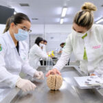 técnica de conservar corpos em estudos