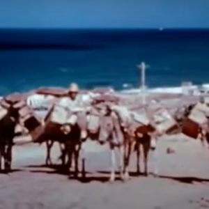Natal em 1944