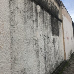 galpão Auris Coelho