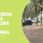 Pinheiros da Via Costeira