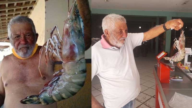 Um idoso achou um camarão de meio quilo no RN