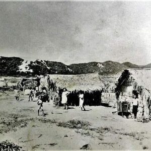 Ponta Negra