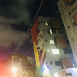 leão grafitado ZS Natal