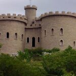 Carnaúbas, Caraúbas e Carnaubais