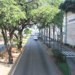 Avenida 15