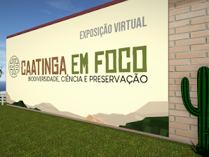 exposição virtual