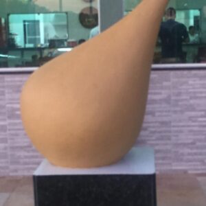Rei das Coxinhas