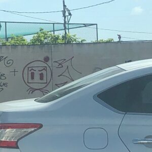Bomberman Natal