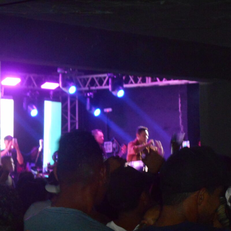 show tradicional natal