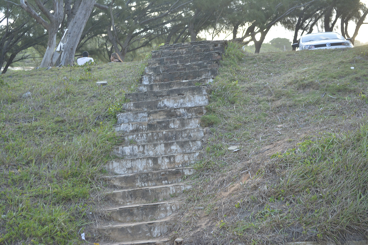 Antes dos Pinheiros da Via Costeira, existia Vale das Cascatas