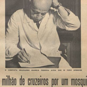 malária Natal