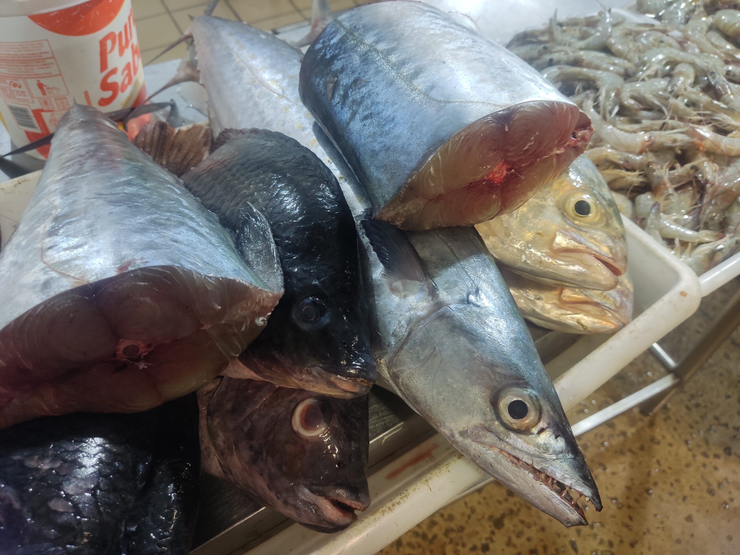 Mercado do Peixe nas águas do Mucuripe