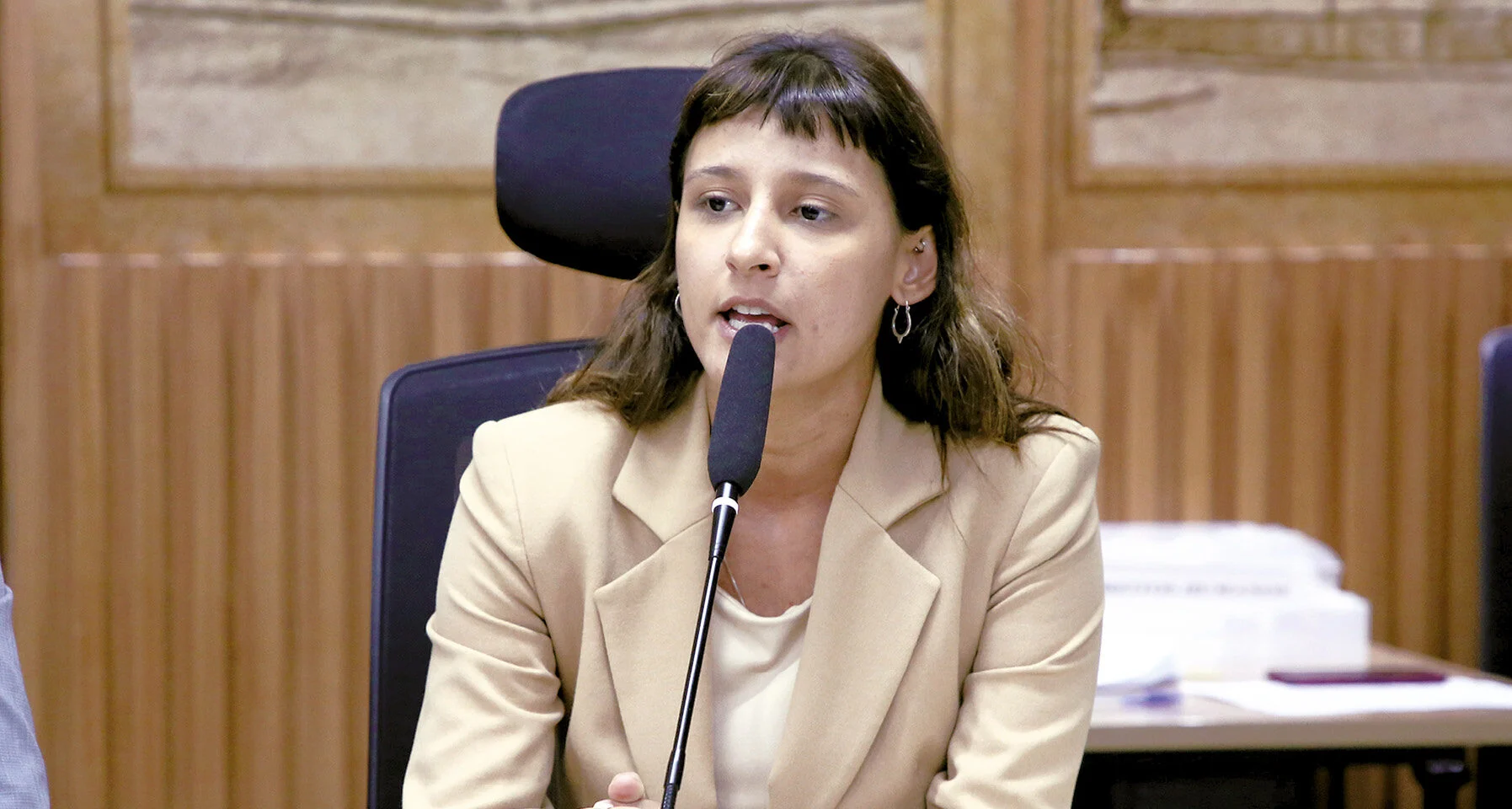 Brisa Bracchi, cassação e a cortina de fumaça