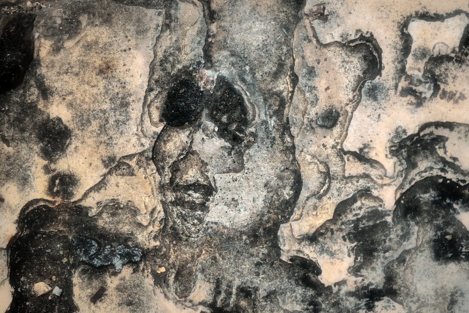 Exposição “Encantos do Invisível” chega ao Mercado de Petrópolis nesta sexta (22)