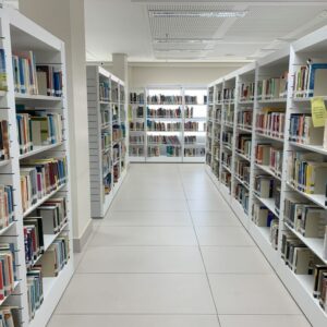 literário